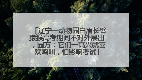 辽宁一动物园白眉长臂猿猴高考期间不对外展出，园方：它们一高兴就喜欢鸣叫，怕影响考试